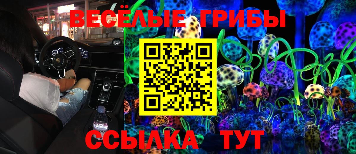 Галлюциногенные грибы GOLDEN TEACHER  Вход с VPN  Благовещенск 